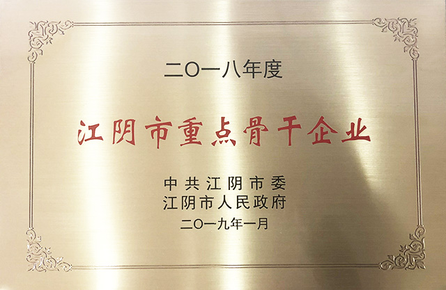 2018年江阴市重点骨干企业