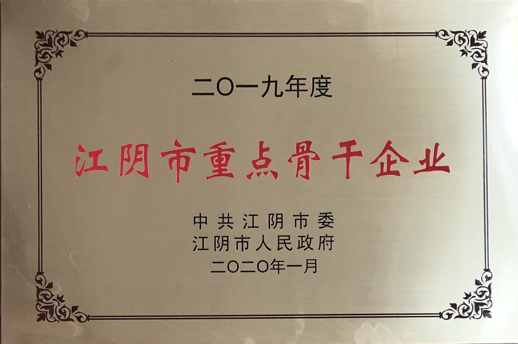 2019江阴市重点骨干企业
