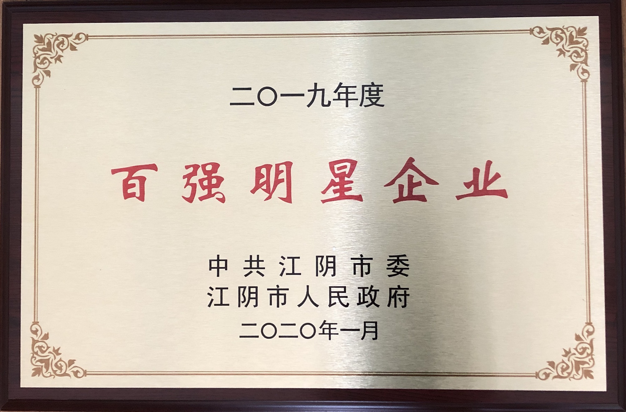 2019年江阴市百强明星企业