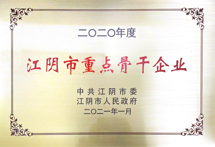 2020年江阴市重点骨干企业
