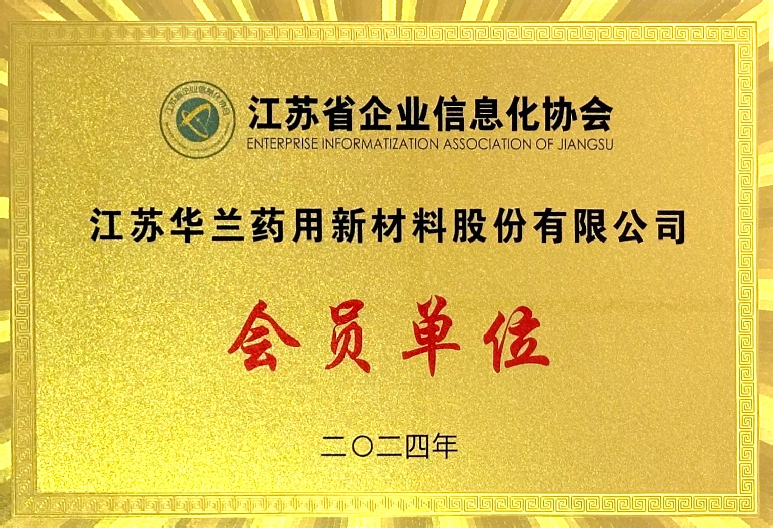 2024.11江苏省企业信息化协会会员单位