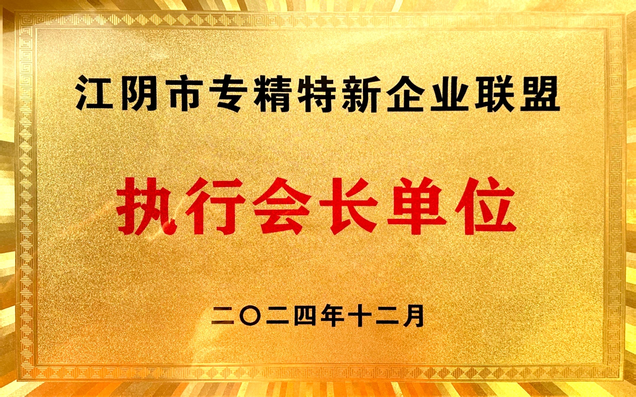 2024.12江阴市专精特新企业联盟执行会长单位