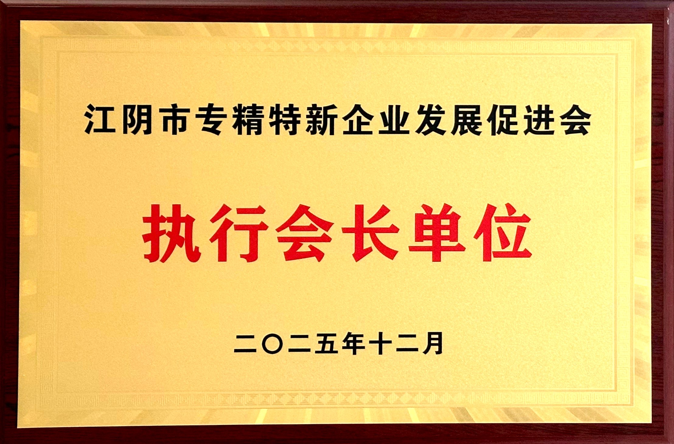2025.12江阴市专精特新企业发展促进会执行会长单位